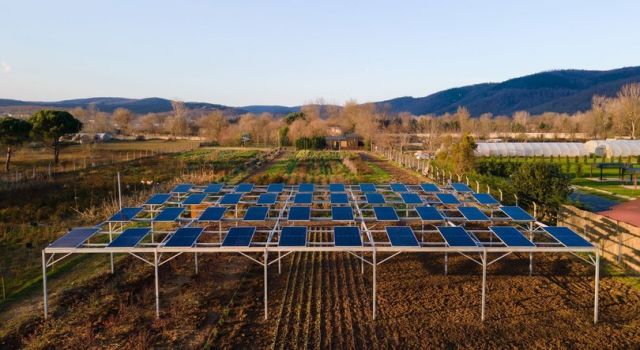 Agrivoltaik tarım yaygınlaşacak