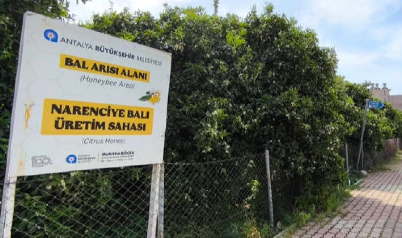 Narenciye Balı koruma altında