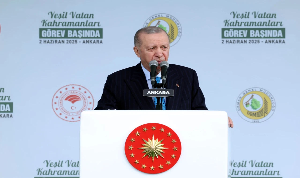 Orman varlığı yüzde 30’a ulaştı