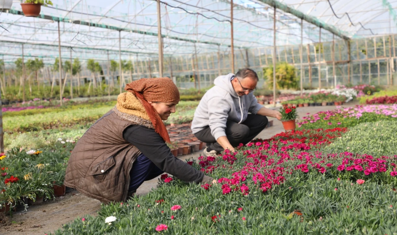 27 milyon çiçek, 23 milyon tasarruf