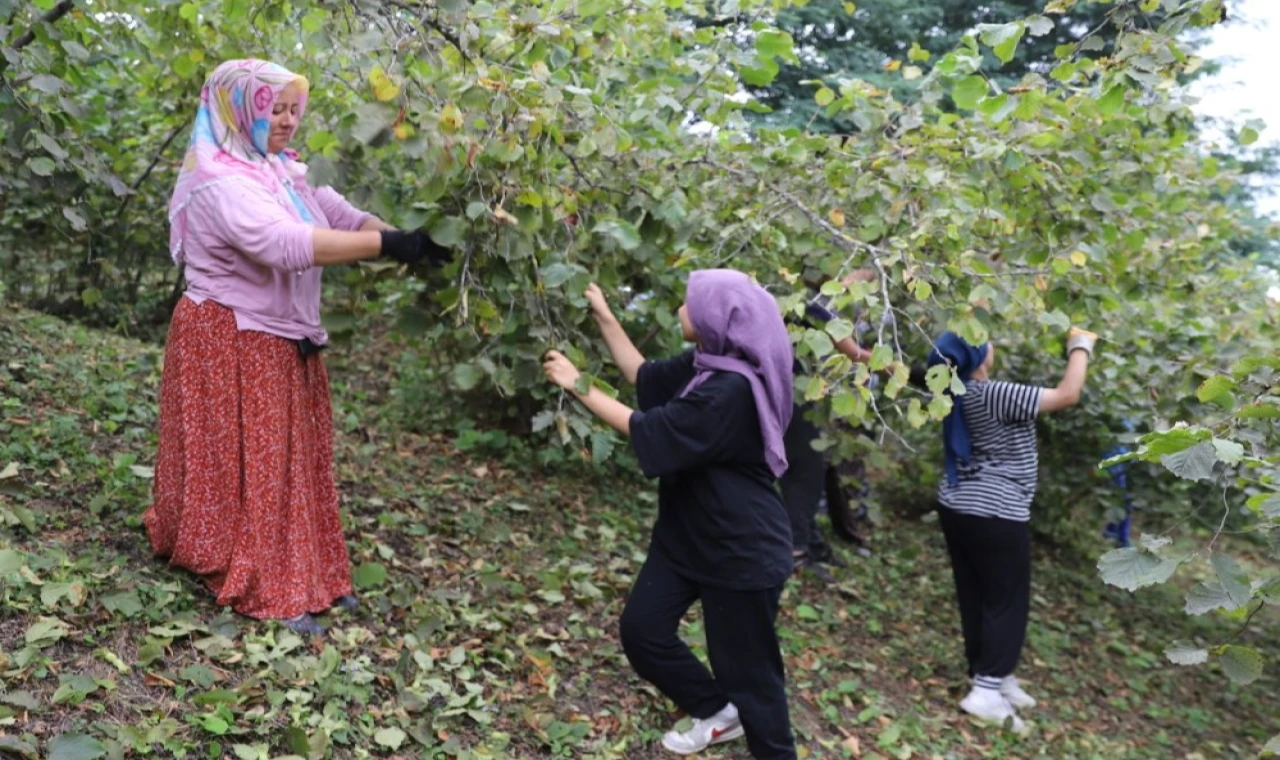 Fındık Dalda Aklın İşçide Kalmasın projesi 6. yılında