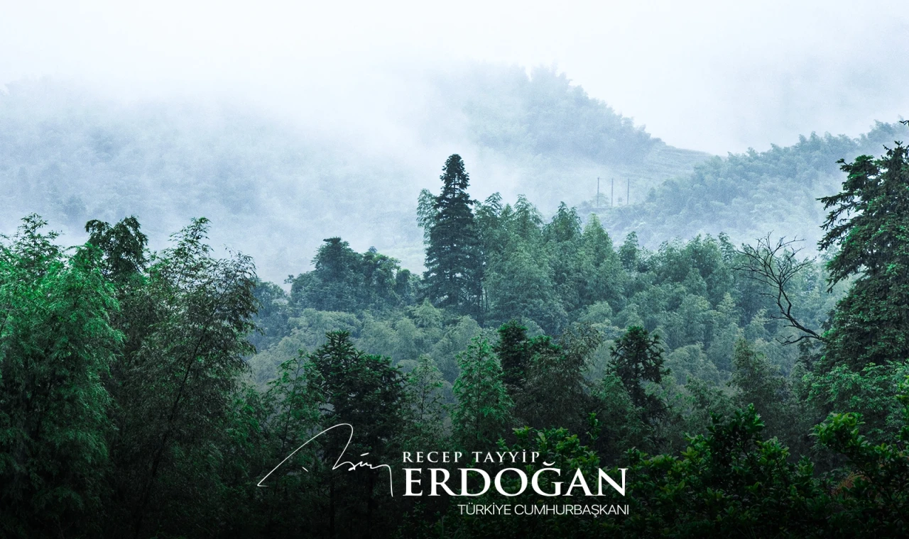 Cumhurbaşkanı Erdoğan’dan Yeşil Vatan Seferberliği çağrısı