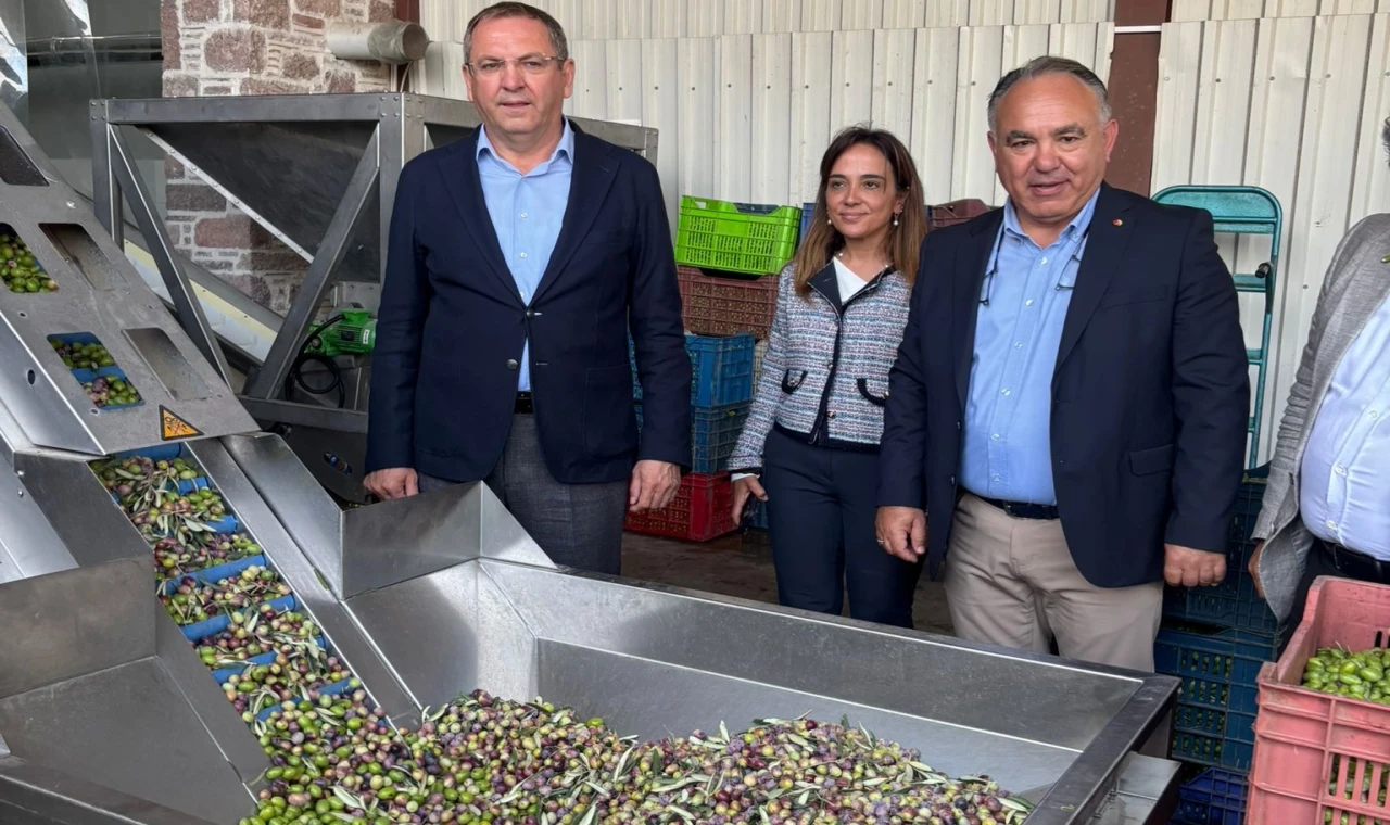 Zeytinyağı ihracatında en büyük sorun markasızlık