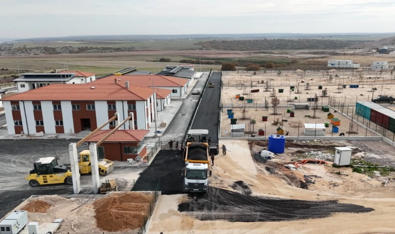 Eskişehir’de hayvan barınağında sona yaklaşılıyor