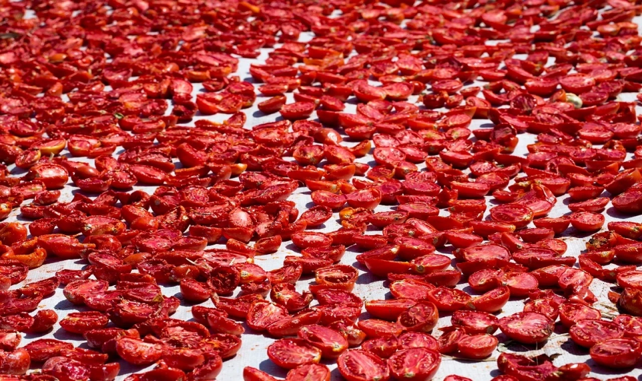 Şifa deposu kuru domates ihracatta dünya ikincisi