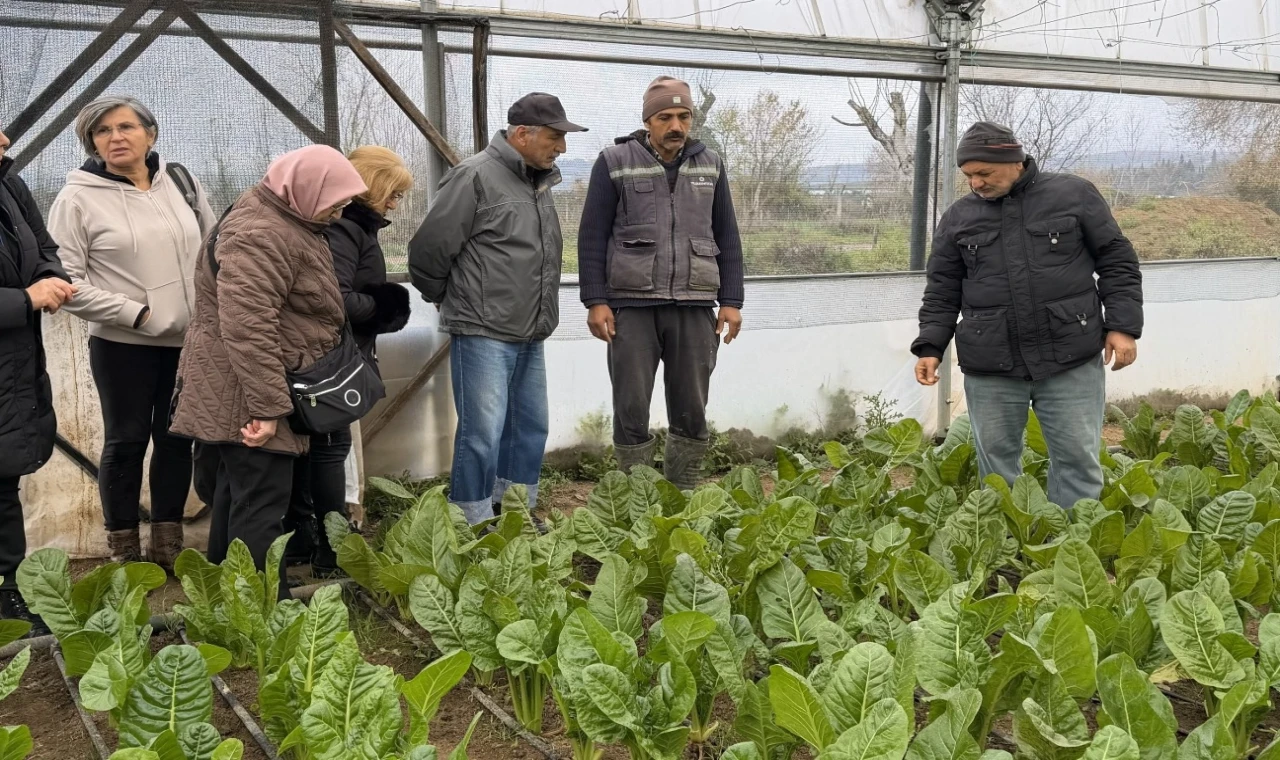 65 yaş üstü bireyler tarımsal üretime katıldı