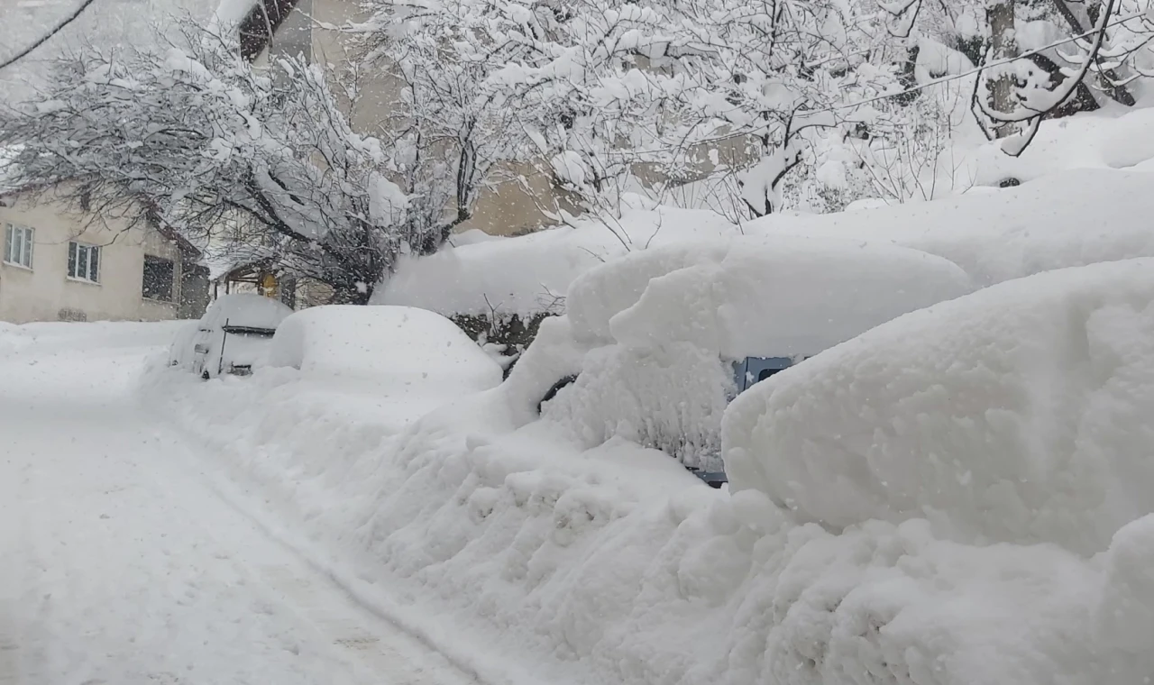 AFAD’dan Doğu ve Batı Karadeniz ile Doğu Anadolu’ya çığ uyarısı!