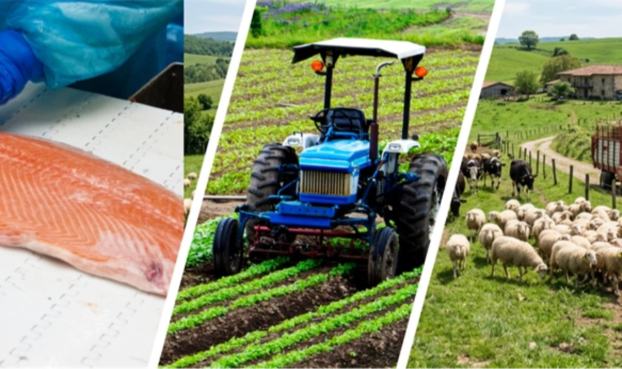 Kırsala 241 milyon avroluk dev hibe