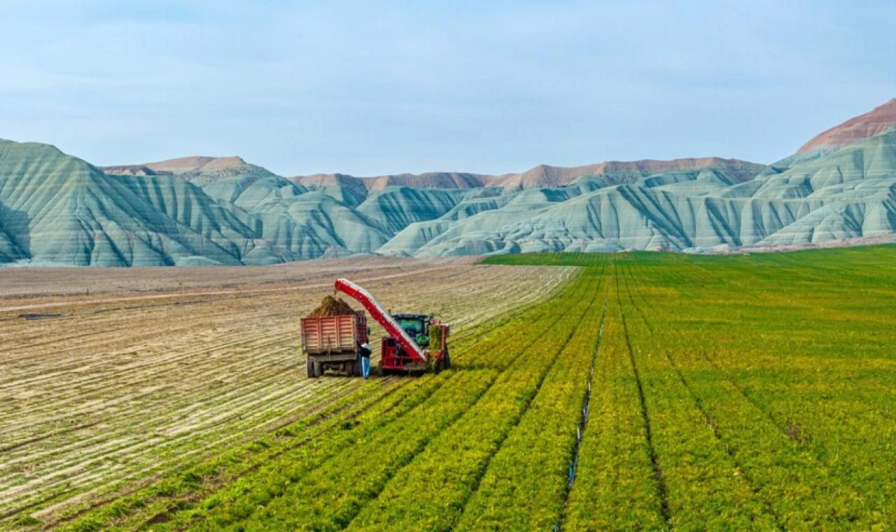Ankara ve Aydın'da arazi toplulaştırma çalışmaları yapılacak