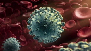 Koronavirüste Mutasyonu durdurulamaz