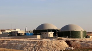 Şanlıurfa'da hayvansal atıklar 11 bin haneye elektrik oluyor