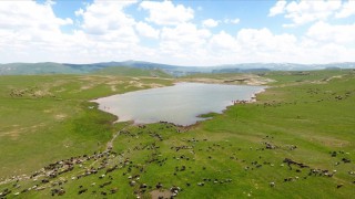 Erzurum'da yapılan 400 gölet tarım ve hayvancılığa 'can suyu' oluyor