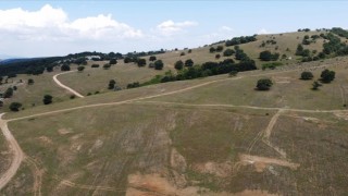 Söğüt Altın Madeni Projesi'nde hedef 2022 yılının sonunda ilk altını dökmek