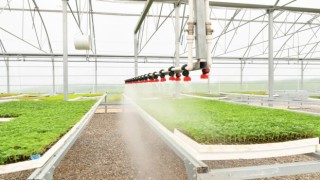 Türkiye’nin atık ısı ile ısıtılan ilk çiçek serası Samsun'da