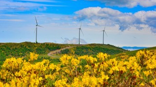 Türkiye'nin enerji haritasında 'yeşil'in payı artıyor