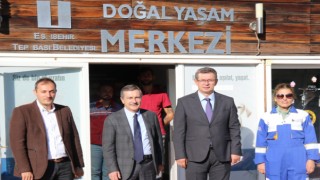 OEDAŞ, sokak hayvanlarının bakımı için "Tedavi Odası" açtı