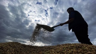 Tarımsal desteklerde vergi iadesiyle 2 milyon çiftçiye yaklaşık 5 milyar lira ödenmesi bekleniyor
