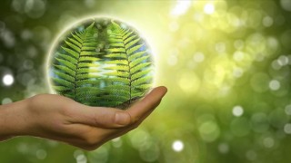 Yeşil dönüşümde Türkiye avantajlı bir konuma sahip