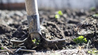 Avrupa'daki enerji krizi gübre üretimini vurdu