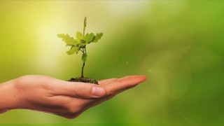 İş dünyası yeşil dönüşüm konusundaki gelişmeleri tek adresten takip edebilecek