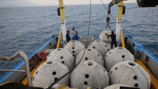 İskenderun Körfezi'ne bırakılan yapay resiflerle canlı çeşitliliği artacak