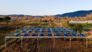Agrivoltaik tarım yaygınlaşacak