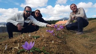 Doktorluğu bırakıp yetiştirmeye başladı kilosunu 250 bin TL'den satıyor