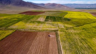 Hububattaki kuraklık riski yağışlarla azaldı