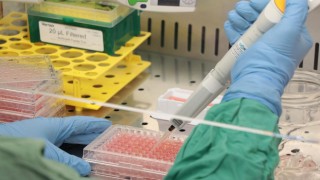 Yeni bir antibiyotik türü bulundu