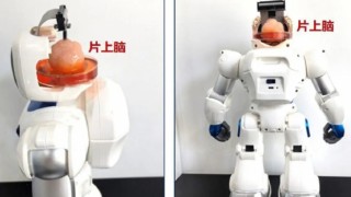 Dünya'da ilk: İnsan beyni ile kontrol edilen robot