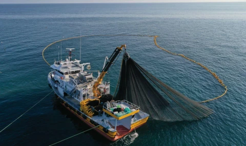 Su ürünleri avcılığında kurallar yeniden düzenlendi