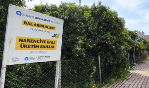 Narenciye Balı koruma altında