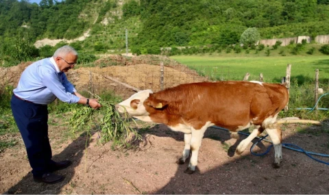 Besicilerin yüzü güldü