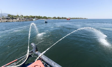İzmir Körfezi’nde alg patlamalarına karşı çevreci çözüm