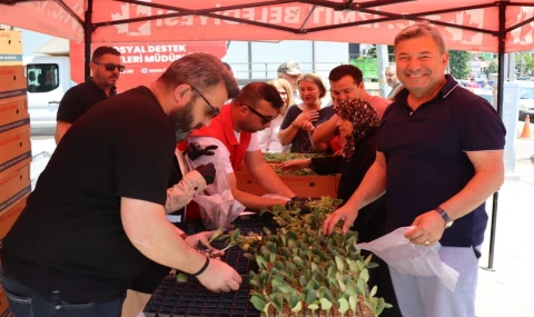 Vatandaşa ücretsiz fide desteği