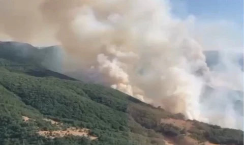 Bilecik ve Sakarya’da müdahale sürüyor