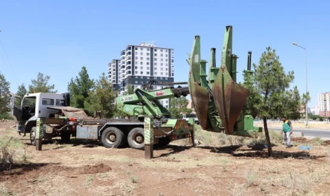 Diyarbakır’dan ağaçlara saygı duruşu