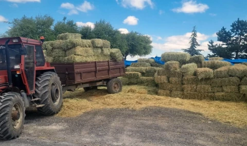 Kayseri Talas’tan üreticiye yem desteği