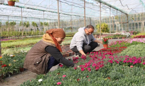 27 milyon çiçek, 23 milyon tasarruf