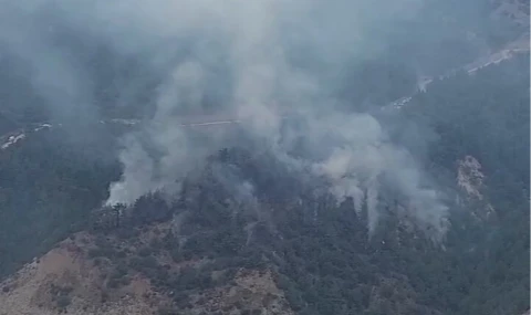 Karabük ’de orman yangını