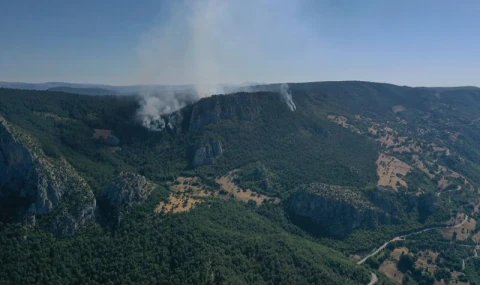 Sinop'ta orman yangını 100 haneli köy boşaltıldı