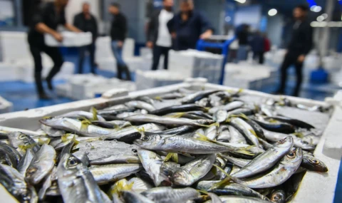 Ankara’da balık sezonu başladı, denetimler sıklaştı