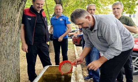 Su kaynaklarına 2,2 milyon sazan balığı bırakılacak