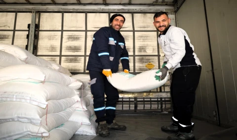 Kocaeli’den arıcılara yüzde 50 hibeli arı yemi