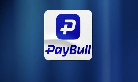 Paybull'a yasa dışı bahisten el konuldu