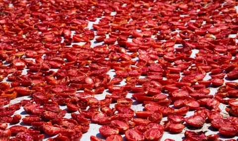 Şifa deposu kuru domates ihracatta dünya ikincisi