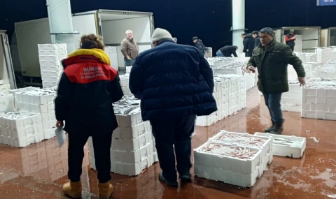 150 kilogram tekir balığına el konuldu