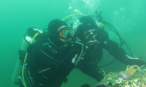 İzmit Körfezi artık nefes alıyor