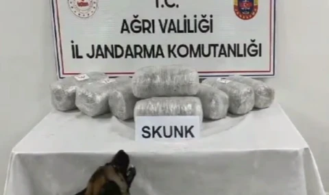 Ağrı’da 10 kilogram skunk ele geçirildi