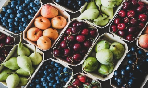 Egeli yaş meyve sebze ihracatçıları üç koldan sürdürülebilirlik atağında